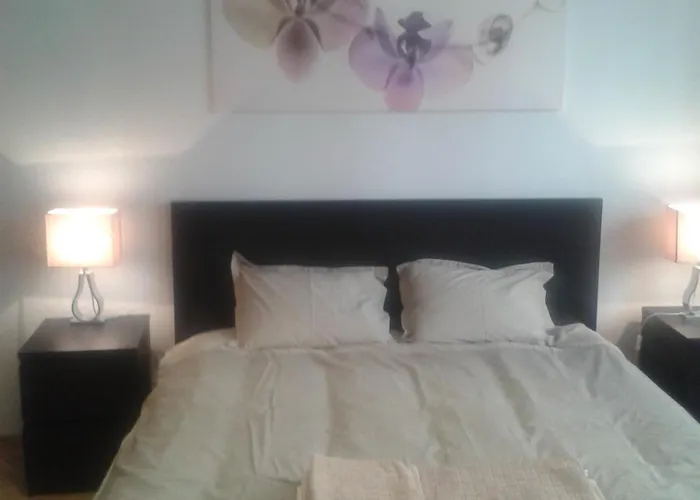 Standard By Hi5 - Múzeum 5