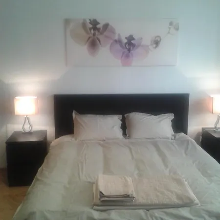 Standard By Hi5 - Muzeum 5